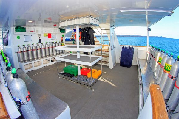 Aqua – Bild 2
