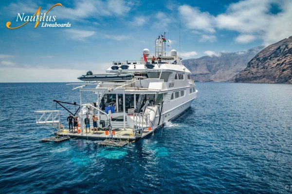 Nautilus Belle Amie