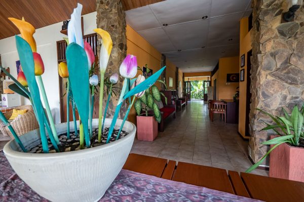 Black Sand Dive Retreat – Bild 5