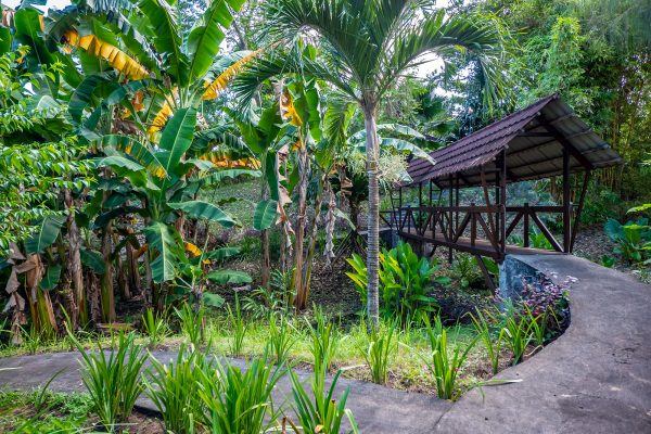 Black Sand Dive Retreat – Bild 2