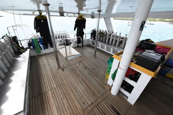 Humboldt Explorer – Bild 5