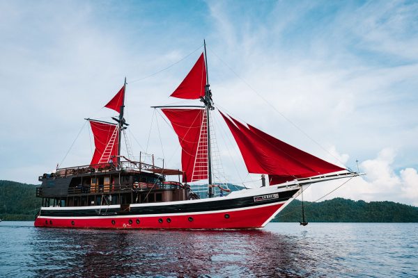 La Galigo Liveaboard – Bild 2