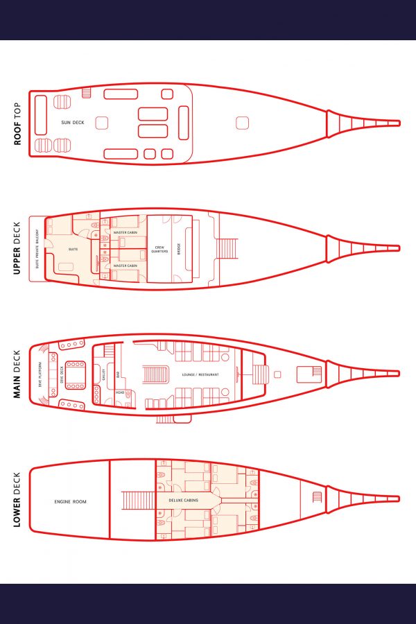 La Galigo Liveaboard – Bild 21