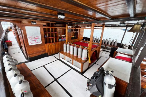 La Galigo Liveaboard – Bild 10
