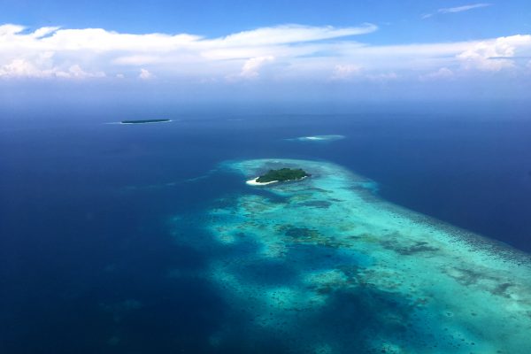 Metita Island Beach & Dive Resort – Bild 6