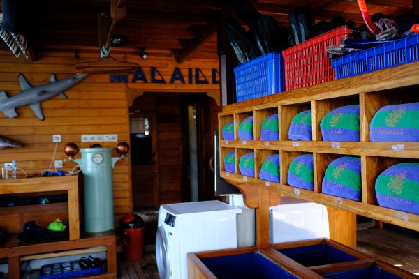 Malaillo Liveaboard – Bild 13