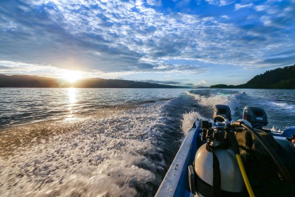 Triton Bay Divers – Bild 12