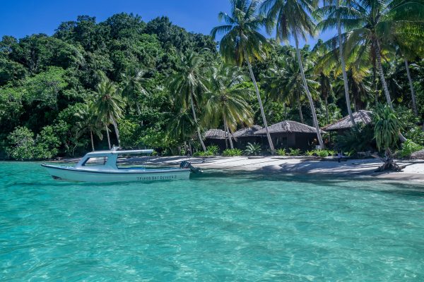 Triton Bay Divers – Bild 13