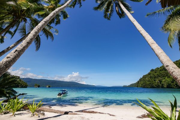 Triton Bay Divers