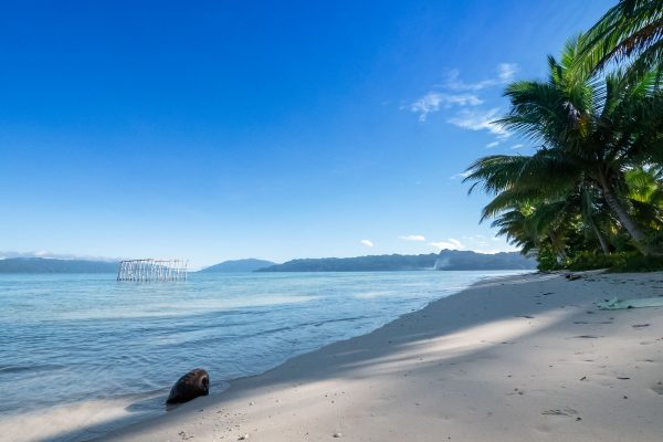 Triton Bay Divers – Bild 9
