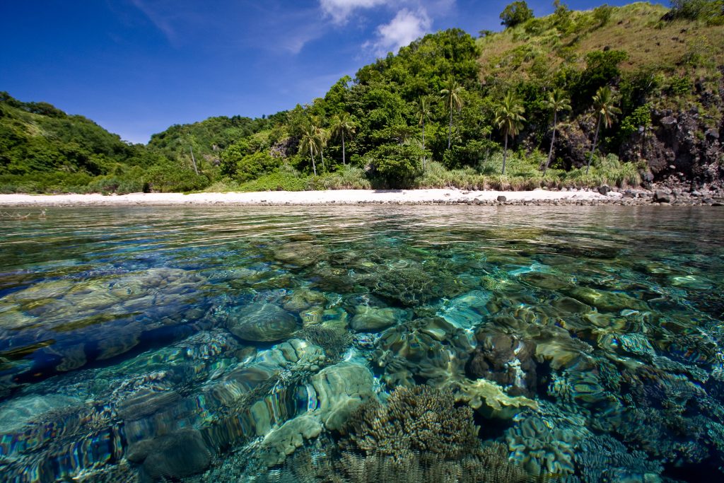 Philippinen Tauchsafari 5 apo reef beach