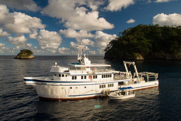 MV Argo – Bild 18