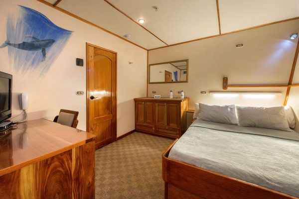 MV Argo – Bild 14