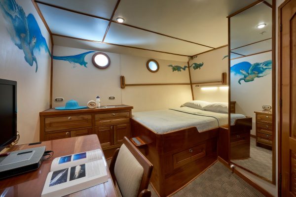MV Argo – Bild 11