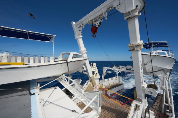 MV Argo – Bild 6