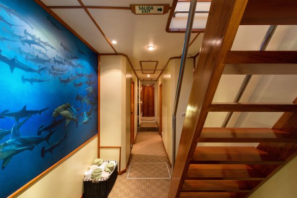 MV Argo – Bild 5