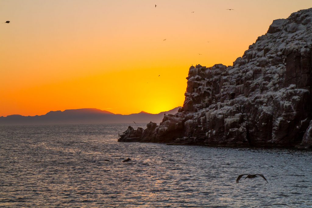 Baja Sunset