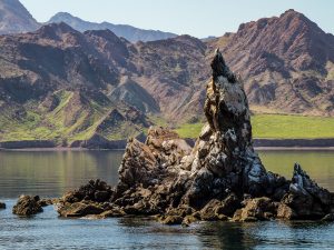 Tauchsafaris Baja California