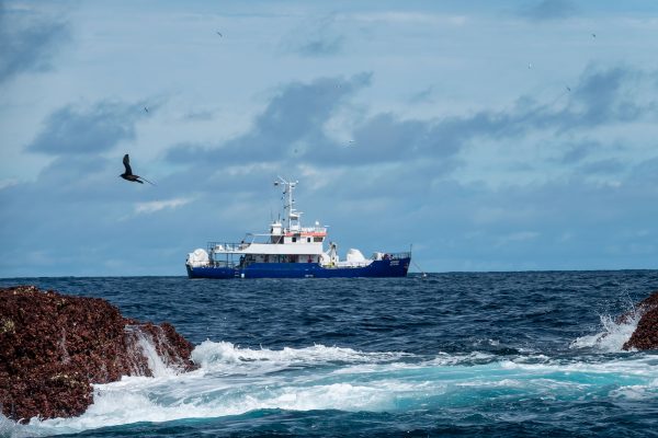 Ferox Expedition in Malpelo