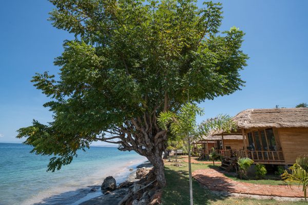 Kalimaya Dive Resort – Bild 5