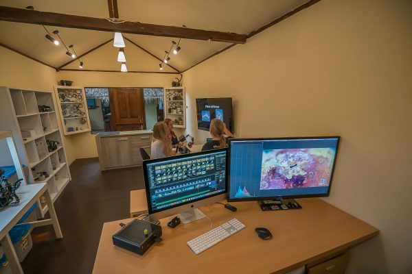 Lembeh Resort – Bild 27