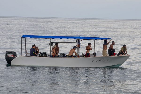 diveboat alami