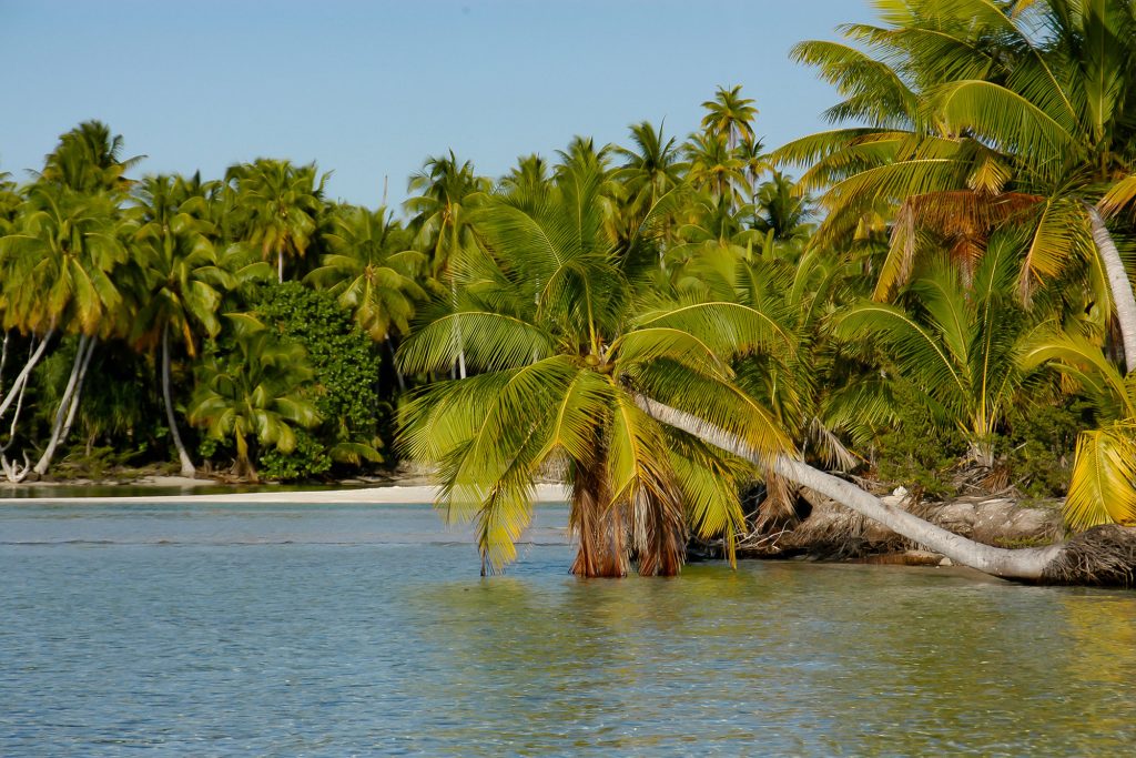 Fakarava South