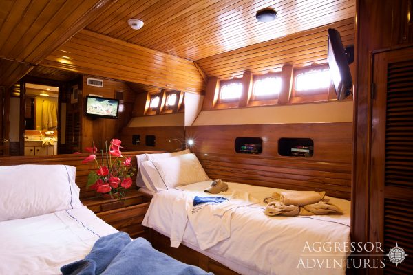 galapagos aggressor cabin