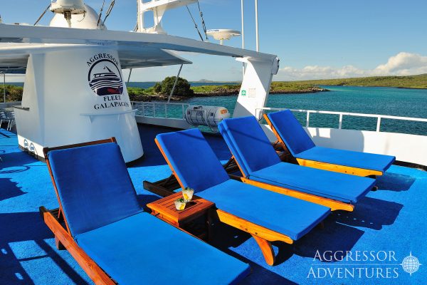 Galapagos Aggressor – Bild 4