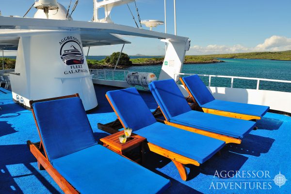 galapagos aggressor sundeck