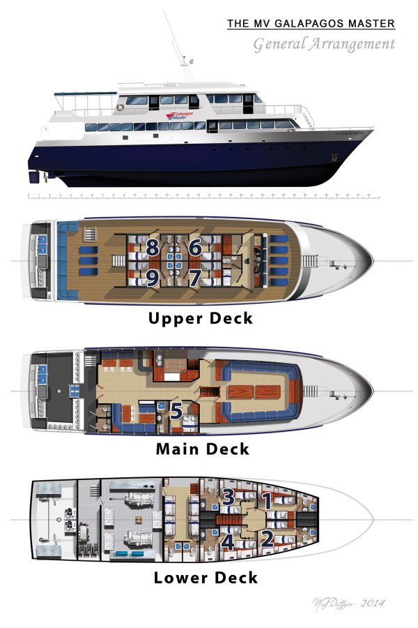 Schiffs layout