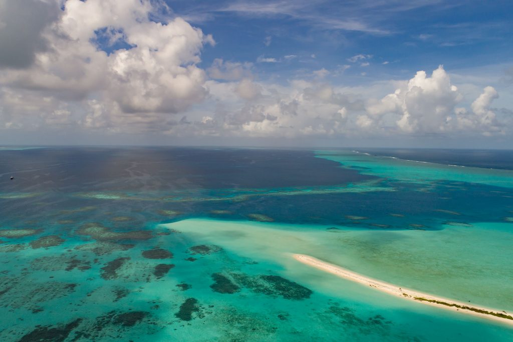 Palau Siren 1 Helen Reef