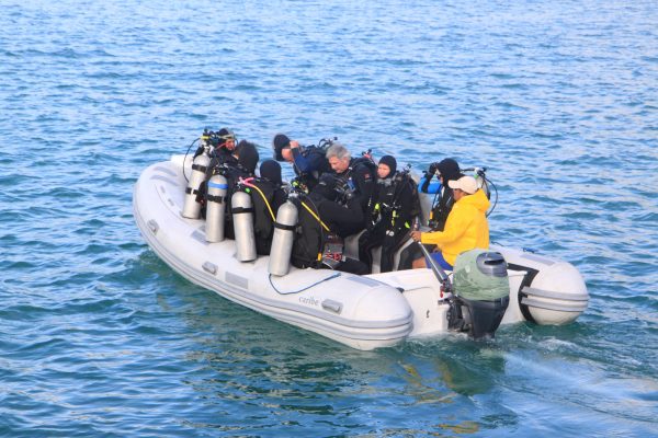 Humboldt Explorer – Bild 11