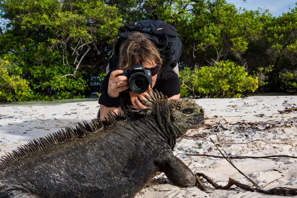 Iguana Photographer