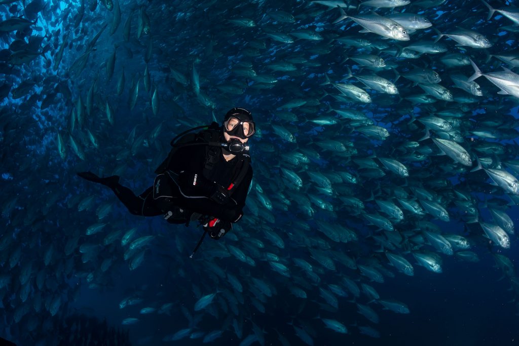 Jacks mit Taucher Malpelo