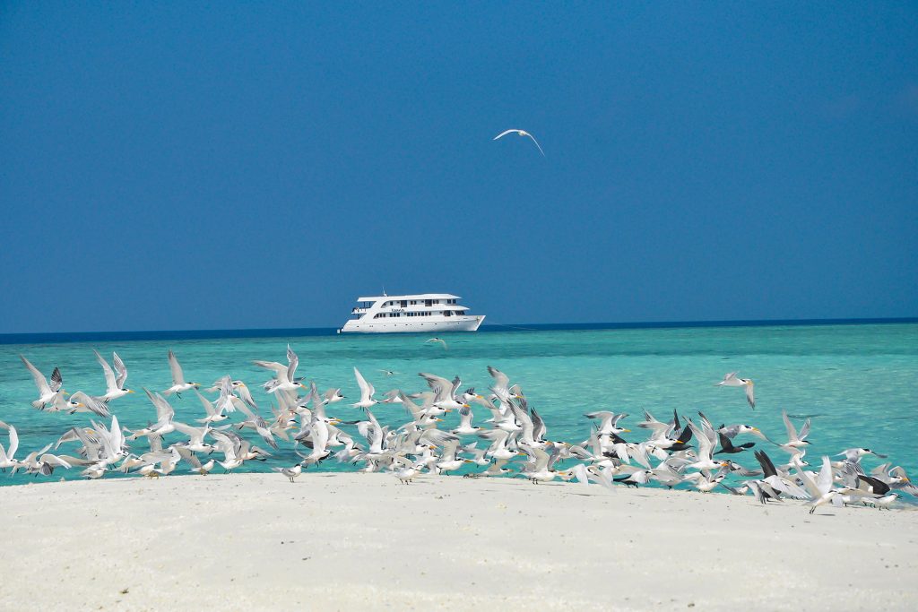 Keana Maldives