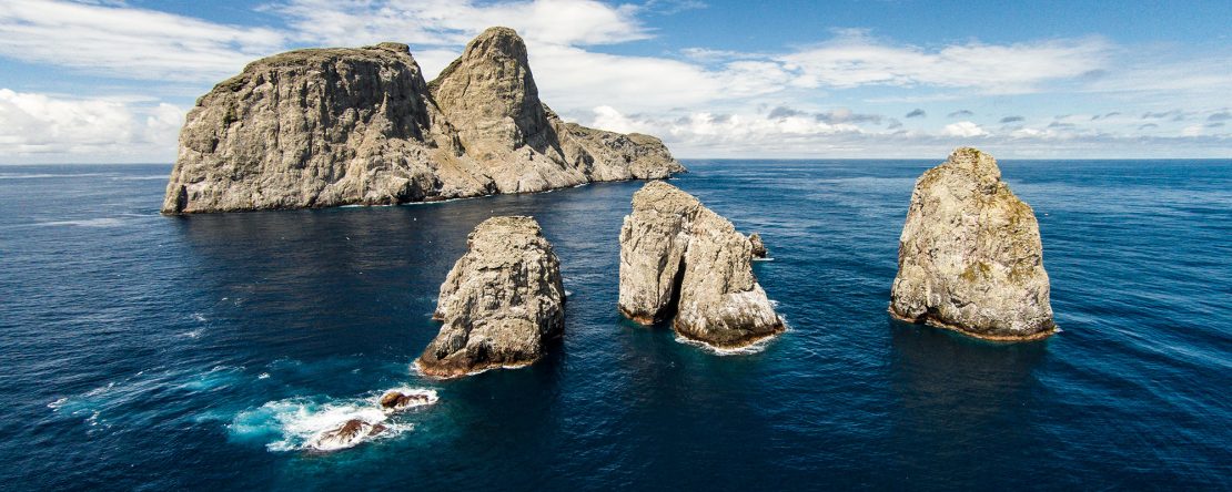 Tres Mosqueteros Malpelo