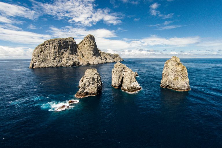 Tres Mosqueteros Malpelo