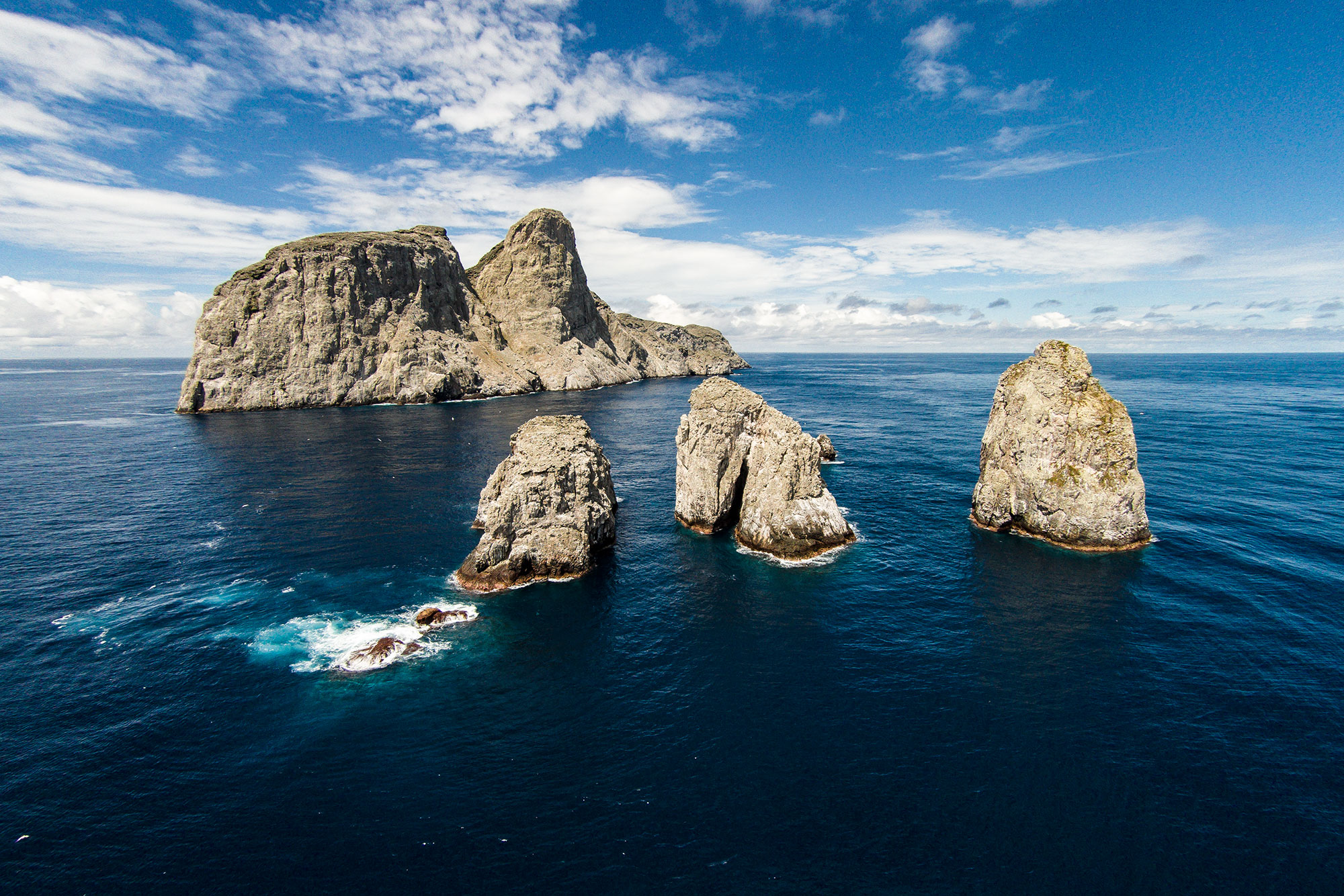 malpelo8