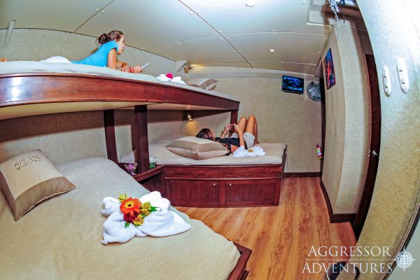 okeanos aggressor1 quadcabin