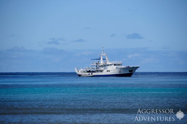 okeanos aggressor1 sea