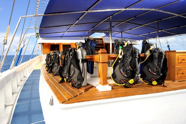 palau siren divedeck