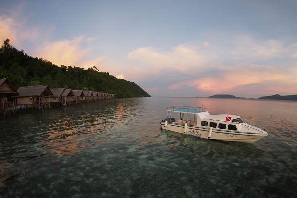 Papua Explorers Dive Resort – Bild 16