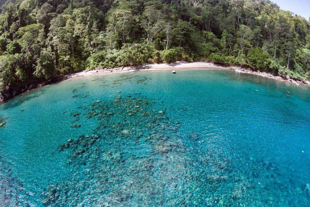 Pulau Pisang
