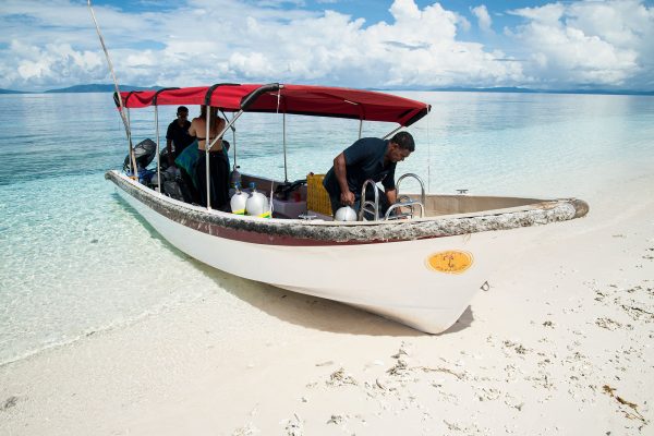 Papua Paradise Resort – Bild 10