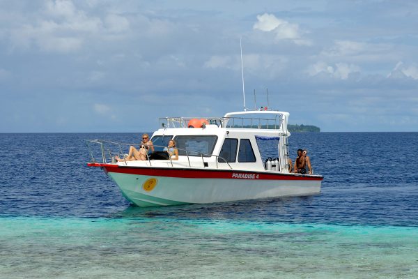 Papua Paradise Resort – Bild 11