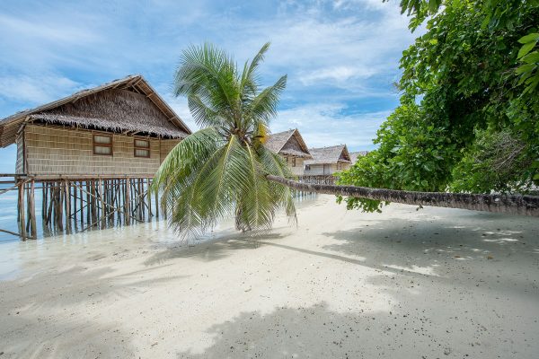 Papua Paradise Resort – Bild 3