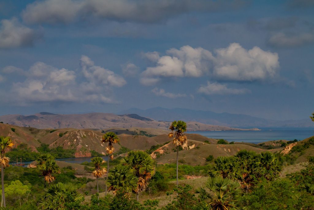 rinca view2