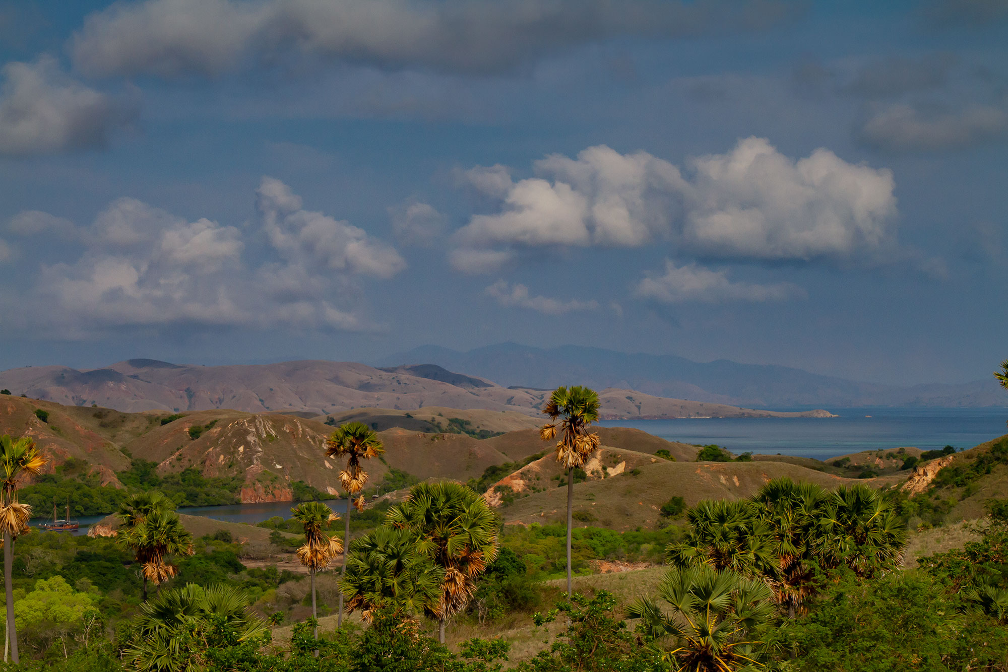 rinca view2