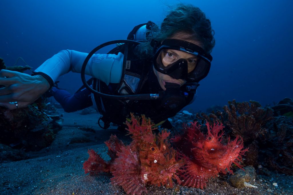rinophia alor diver1